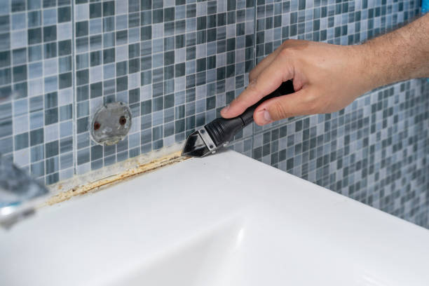 Best Black Mold Remediation in Century, FL